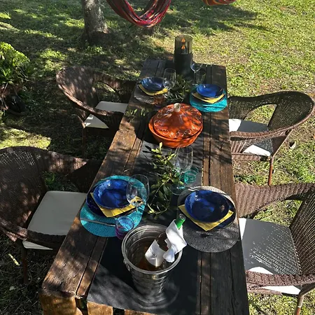 O Ninho Retreat